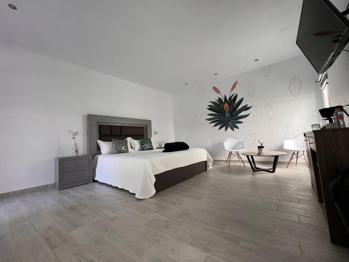 Hotel Casa Clementina Tequila Zewnętrze zdjęcie